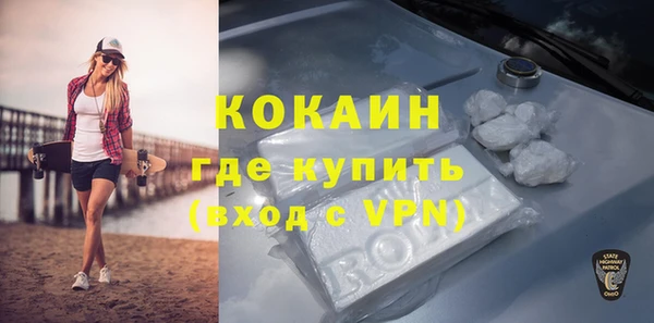 mdpv Каменногорск