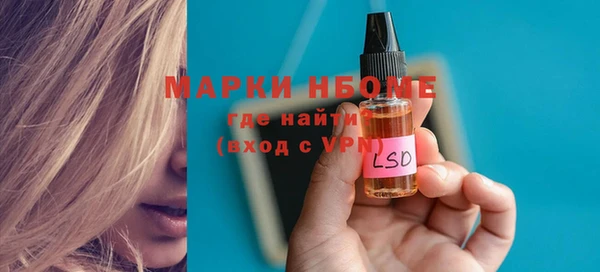 ГАЛЛЮЦИНОГЕННЫЕ ГРИБЫ Каменка