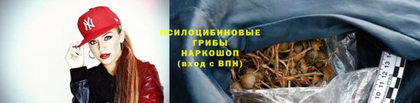 ГАЛЛЮЦИНОГЕННЫЕ ГРИБЫ Каменка