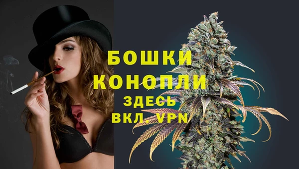 гидра Каменск-Шахтинский