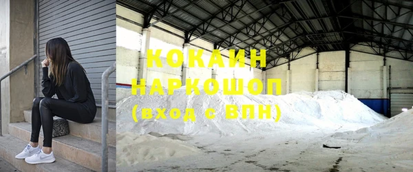 ГАЛЛЮЦИНОГЕННЫЕ ГРИБЫ Каменка