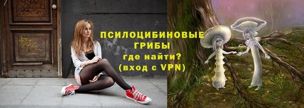 ГАЛЛЮЦИНОГЕННЫЕ ГРИБЫ Каменка
