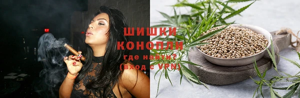 ГАЛЛЮЦИНОГЕННЫЕ ГРИБЫ Каменка