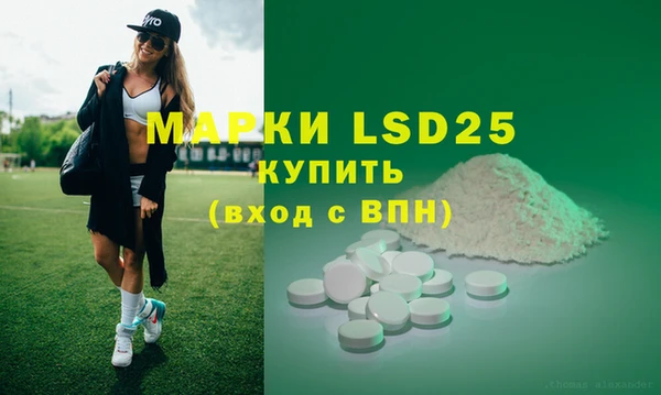 ГАЛЛЮЦИНОГЕННЫЕ ГРИБЫ Каменка