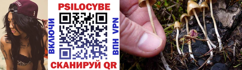 блэк спрут сайт  Нея  Галлюциногенные грибы прущие грибы 